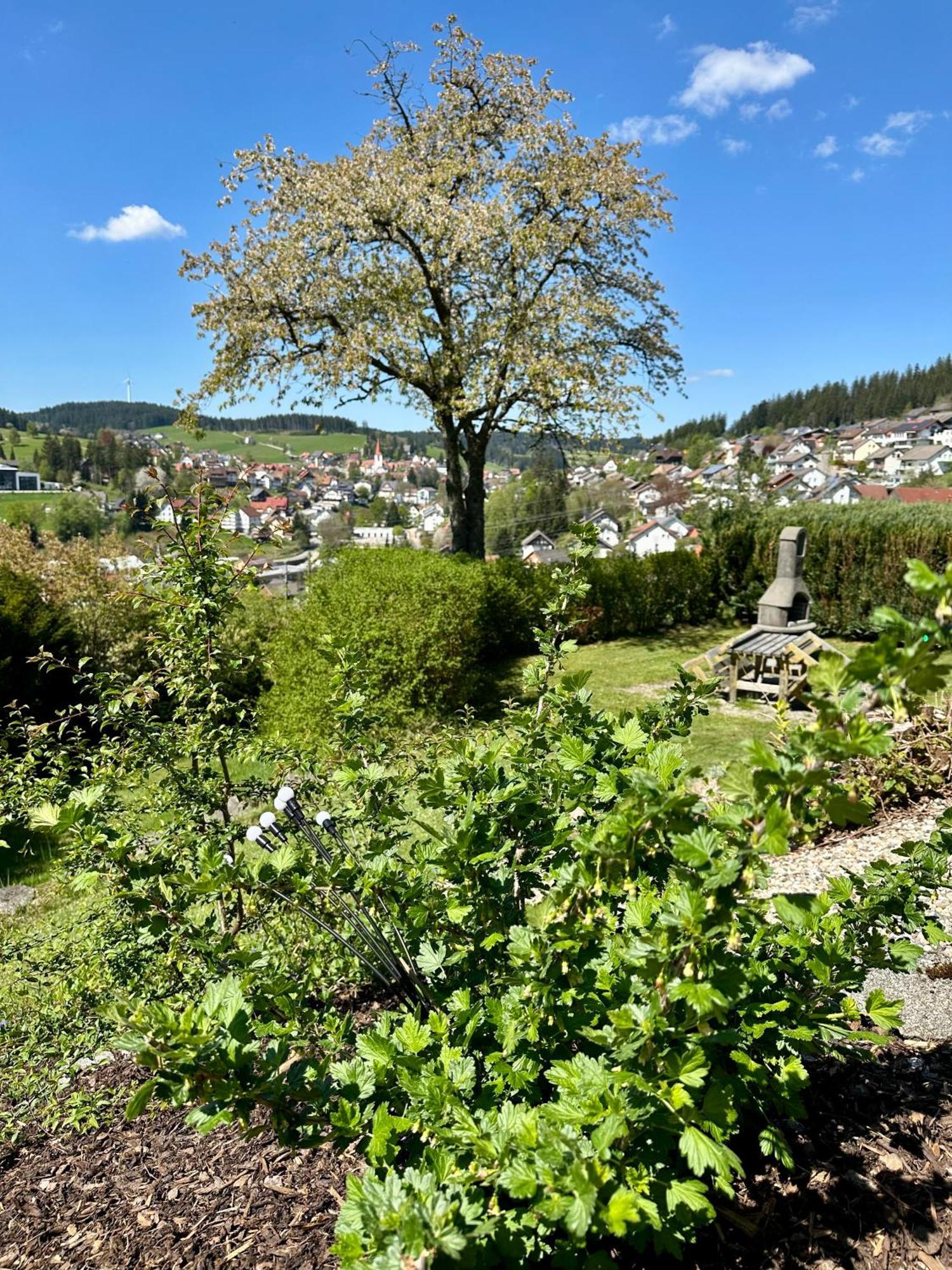 Sonneck Schonach Apartment Schonach im Schwarzwald Exterior photo