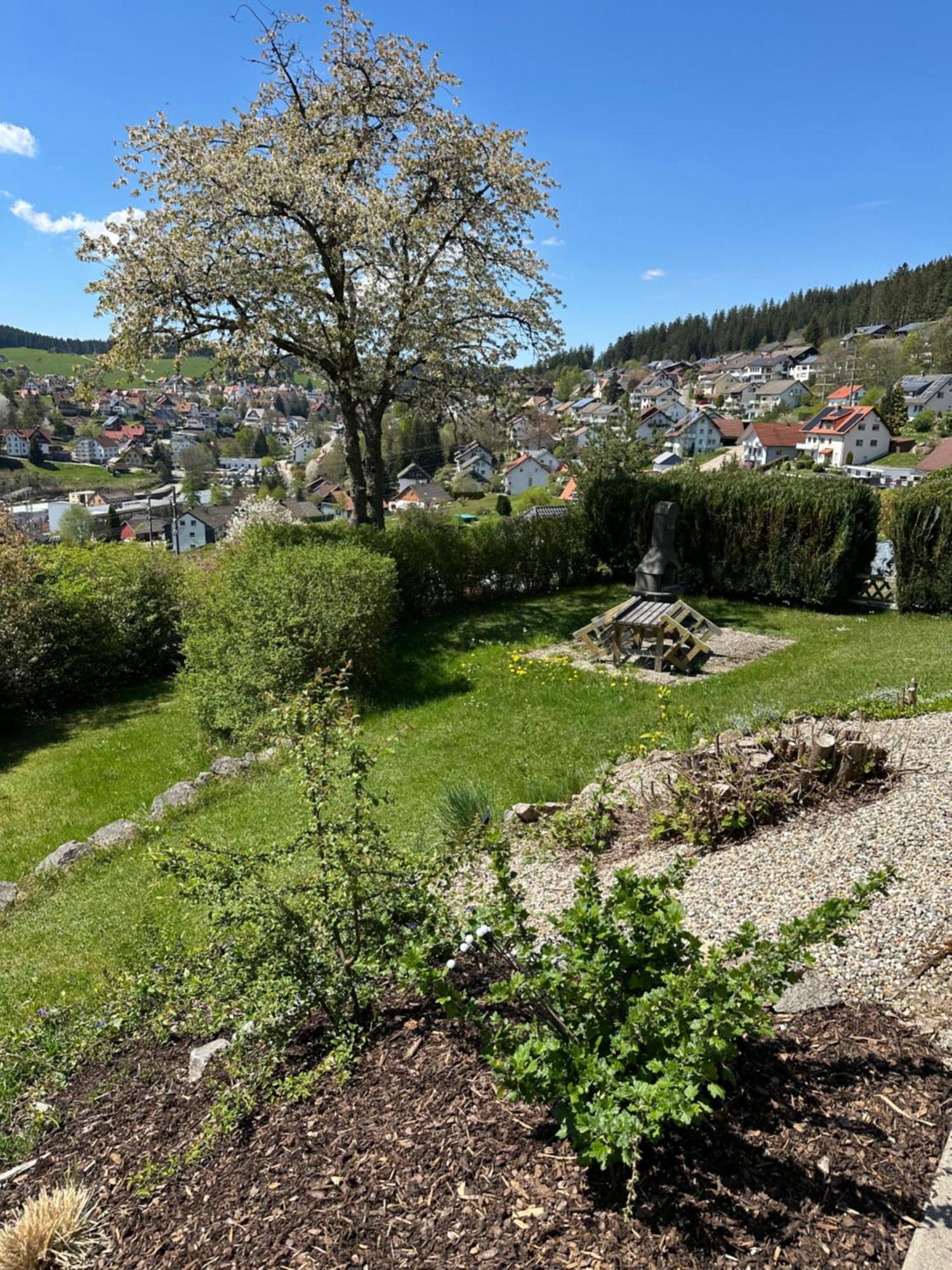 Sonneck Schonach Apartment Schonach im Schwarzwald Exterior photo